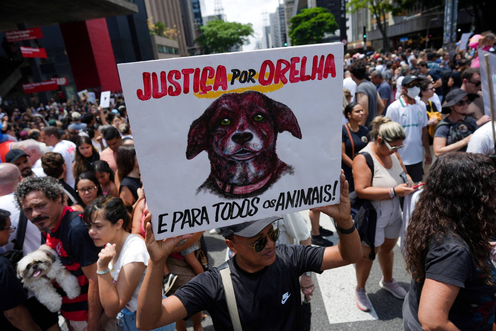 Por que ódio dá ibope? – 07/05/2026 – Suzana Herculano-Houzel