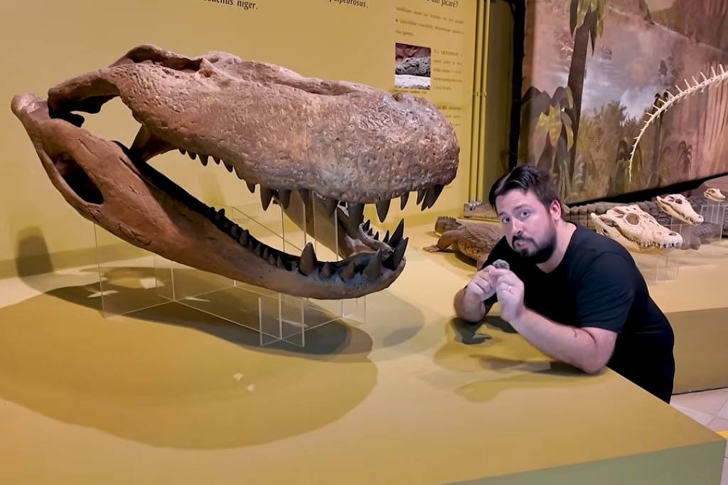 Documentários resgata assombro da fauna extinta do Brasil - 23/05/2026 - Reinaldo José Lopes