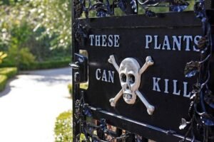 Placa preta em portão de ferro com texto em inglês
