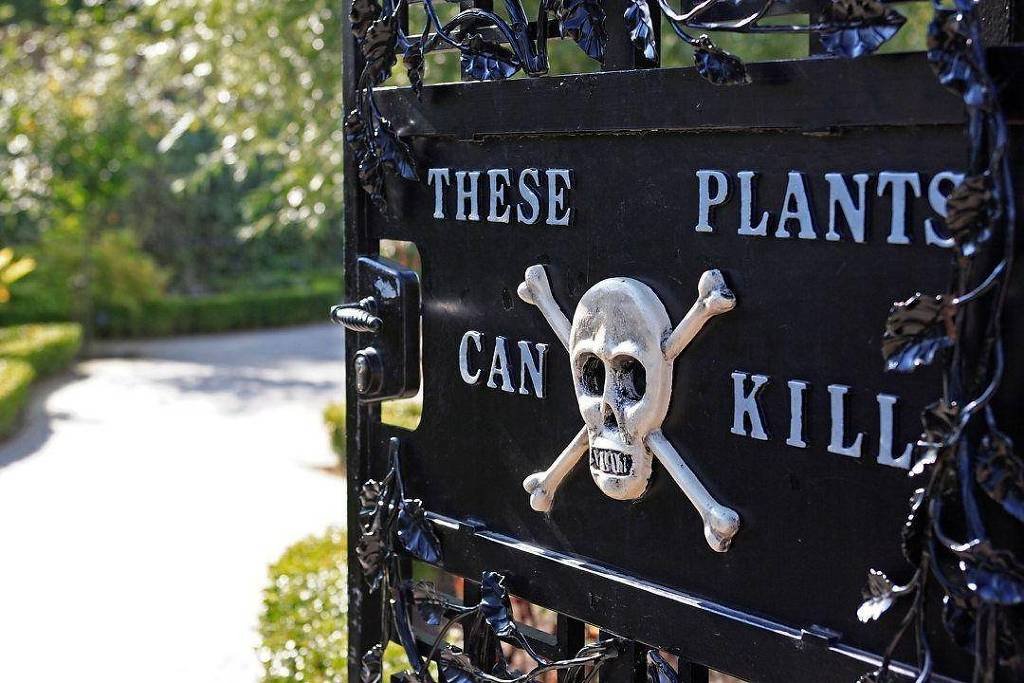 Como é o jardim que tem mais de cem plantas tóxicas – 24/05/2026 – Mundo