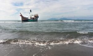 Com segurança no mar em pauta, OMI alerta para crises em Ormuz e Somália