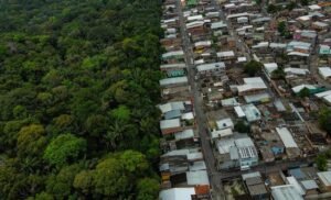 Rumo a 2030, Brasil enfatiza plano para manter floresta em pé e gerar renda