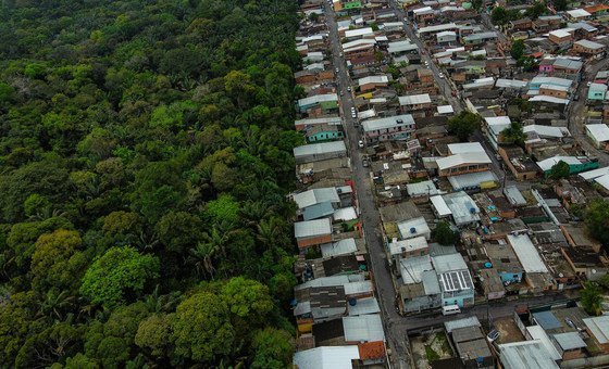 Rumo a 2030, Brasil enfatiza plano para manter floresta em pé e gerar renda