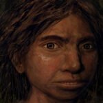 Reconstrução artística de uma denisovana, espécie de hominínio arcaico que se reproduziu com o Homo sapiens