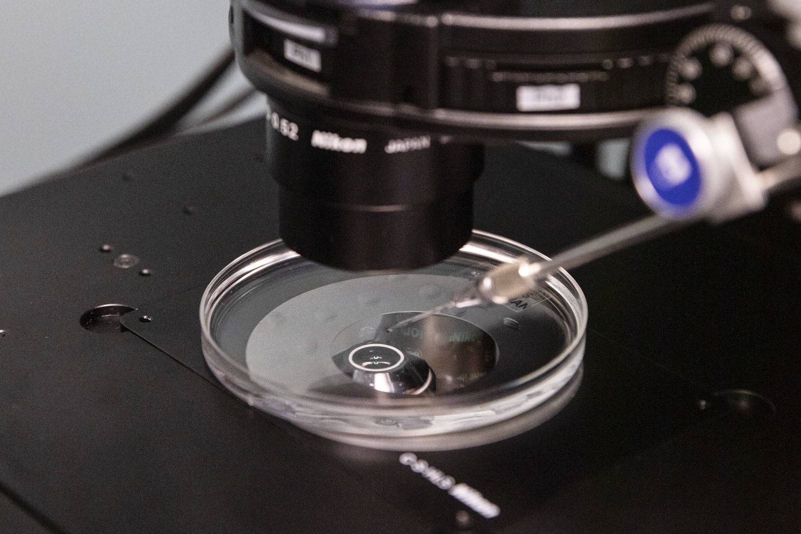 Cientistas editam genes de embriões humanos com precisão - 09/06/2026 - Ciência