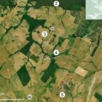 Estudo mapeia 350 km de estradas pré-colombianas no Acre - 14/06/2026 - Ciência