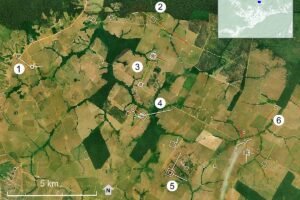 Estudo mapeia 350 km de estradas pré-colombianas no Acre - 14/06/2026 - Ciência