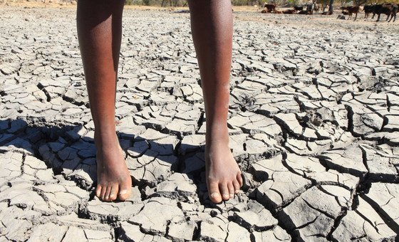 Nova fase do El Niño ameaça a produção agrícola mundial, alerta a FAO