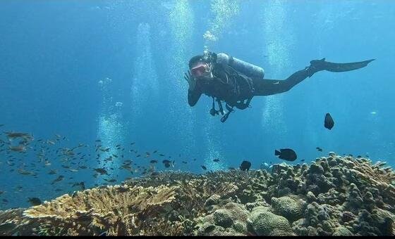 Relatório da ONU revela que oceanos estão mais elevados, aquecidos e poluídos