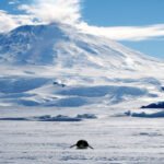 Pinguim posicionado no centro em primeiro plano sobre uma vasta superfície coberta de neve. Ao fundo, uma grande montanha coberta de neve sob céu azul com algumas nuvens dispersas.