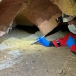 Pesquisador com máscara, luvas azuis e roupa vermelha usa lanterna e ferramenta para analisar inscrições em superfície rochosa dentro de caverna.