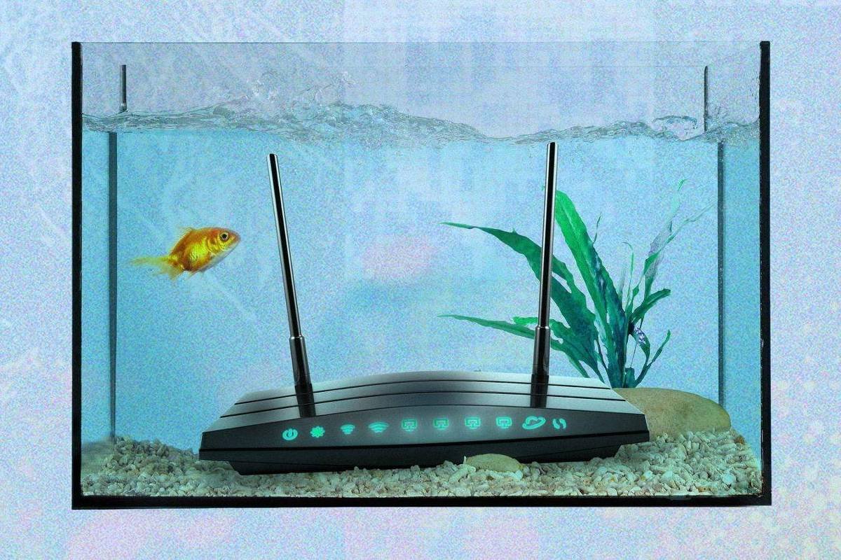 Aquário com água clara contém um roteador Wi-Fi preto com duas antenas posicionadas verticalmente no fundo. Um peixe dourado nada próximo ao roteador, e há plantas aquáticas verdes e pedras no fundo do aquário.