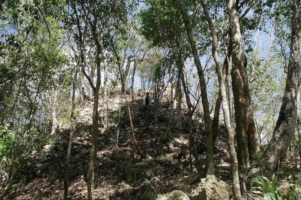 Arqueólogos encontram ruínas maias na península de Yucatán – 20/07/2026 – Ciência