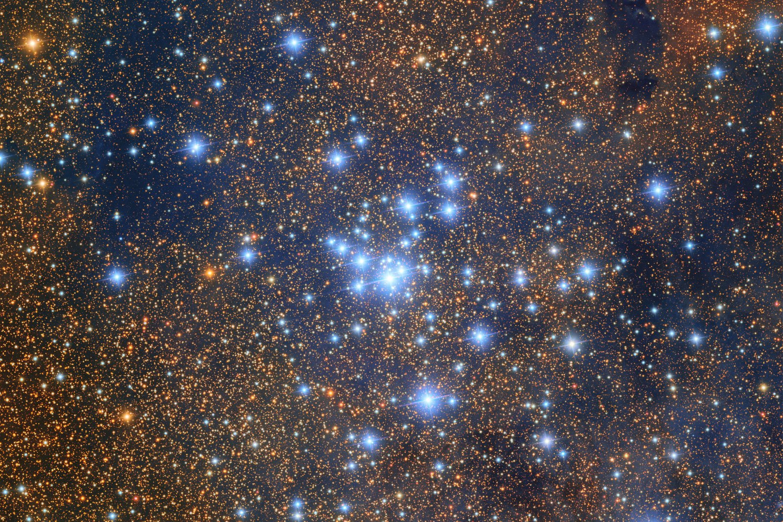 Aglomerado estelar aberto com estrelas azuis brilhantes cercadas por inúmeras estrelas alaranjadas e fundo escuro com nebulosidade tênue.