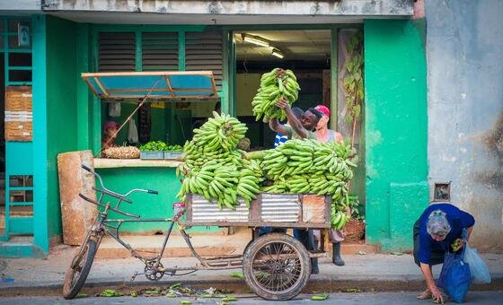 América Latina: Economia formal é indispensável contra baixo crescimento