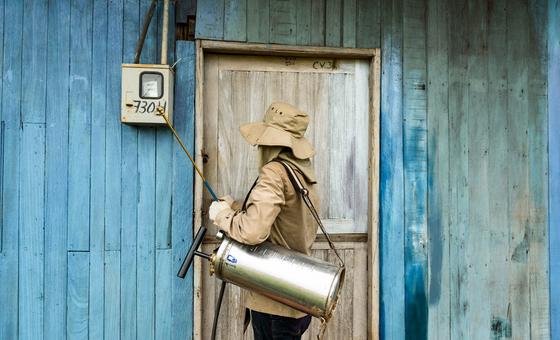 Dia Internacional do Mosquito mobiliza ciência e sociedade contra epidemias