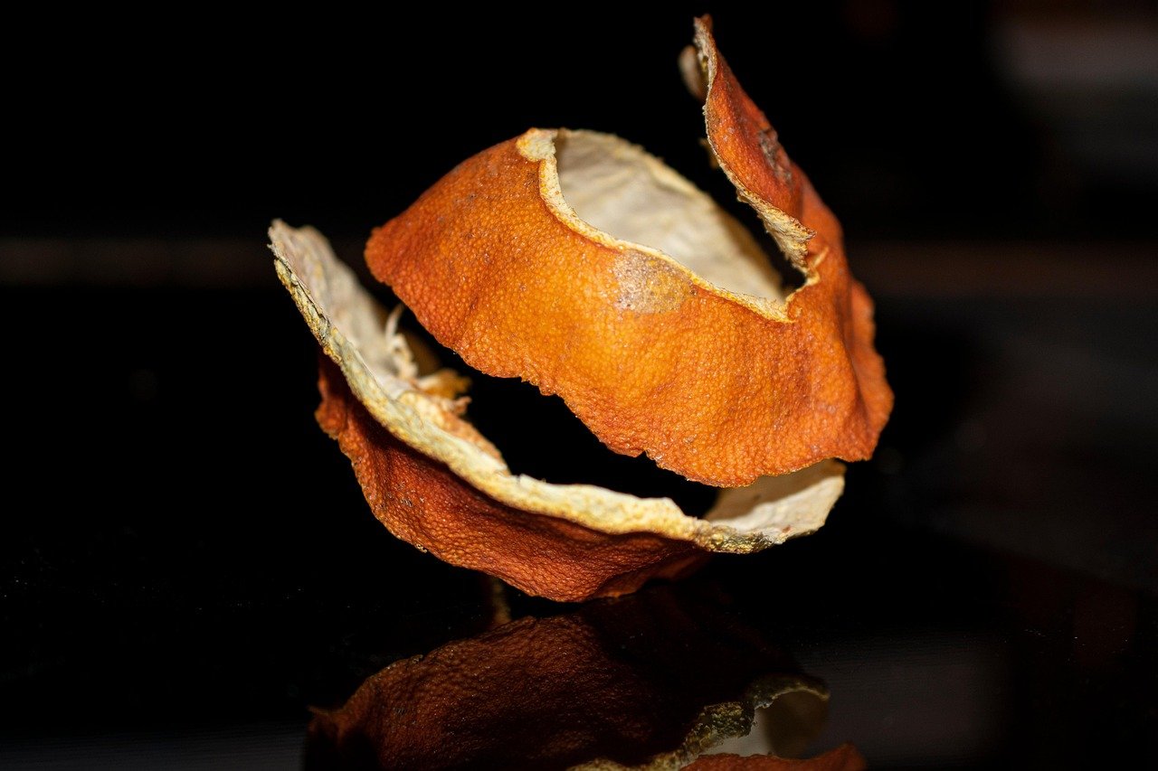 Pesquisa extrai compostos de alto valor de resíduos da laranja