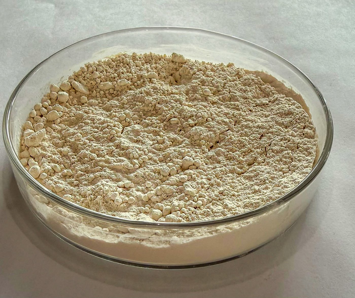 Pesquisadores transformam grãos quebrados de feijão em ingrediente proteico de alto valor