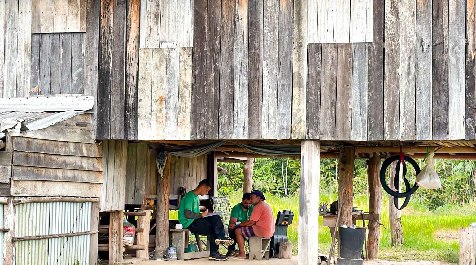 Pesquisas detalham como o desmatamento impulsiona vetores de Chagas e leishmaniose na Amazônia