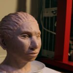 This image shows a portrait of a juvenile female Denisovan based on a skeletal profile reconstructed from ancient DNA methylation maps.