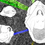 Três fragmentos de pedra com desenhos de sereias em fundo preto texturizado. As sereias têm corpo metade humano, metade peixe, com detalhes em pontos e linhas. Faixas coloridas verde, azul e amarela cruzam o fundo.