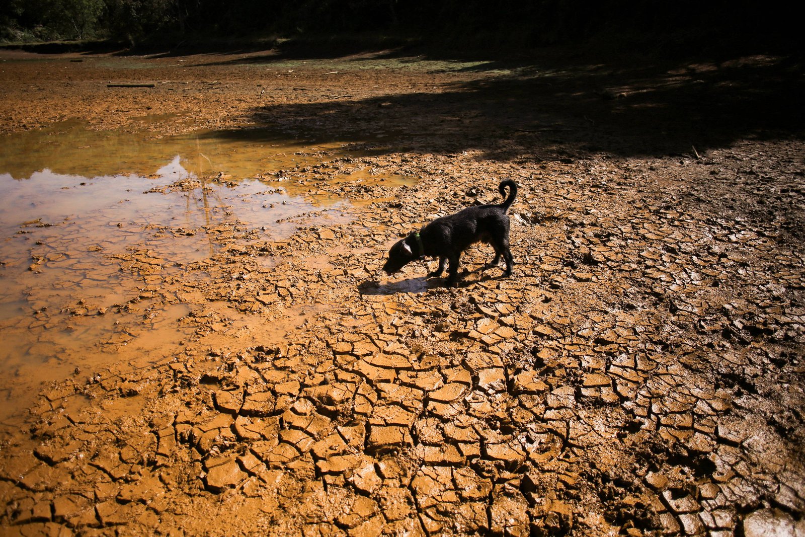 Quem conhece sua terra sente nos ossos a crise climática - 05/09/2026 - Reinaldo José Lopes