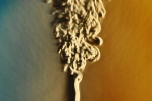 IA teria solucionado um Problema do Milênio da matemática - 09/09/2026 - Ciência