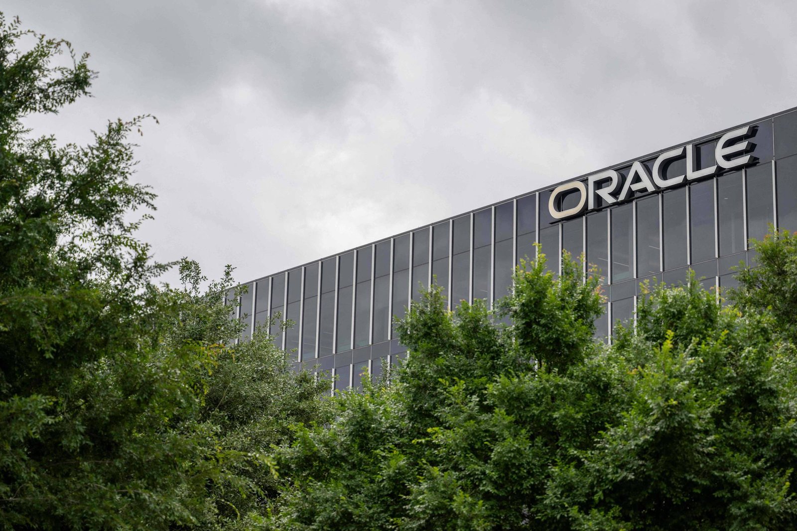 Prédio moderno da Oracle com fachada de vidro escuro e logo grande no topo direito, parcialmente oculto por árvores verdes densas em primeiro plano, sob céu cinzento e nublado.