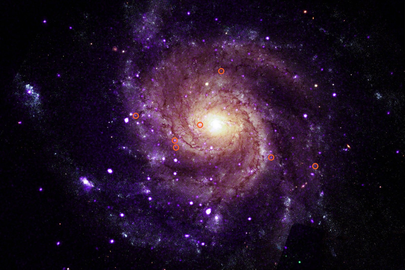 Nasa: Dados antigos apontam um novo objeto cósmico – 27/09/2026 – Ciência
