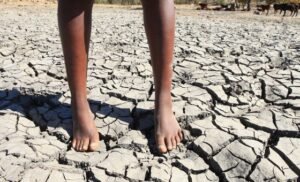 Ameaça de super El Niño leva ONU a adotar nova estratégia para salvar milhões