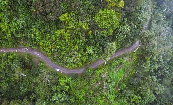Na ONU, São Tomé e Príncipe exige justiça climática em vez de caridade