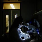 Capes: brasileiros podem publicar na Nature sem custos - 28/10/2026 - Ciência