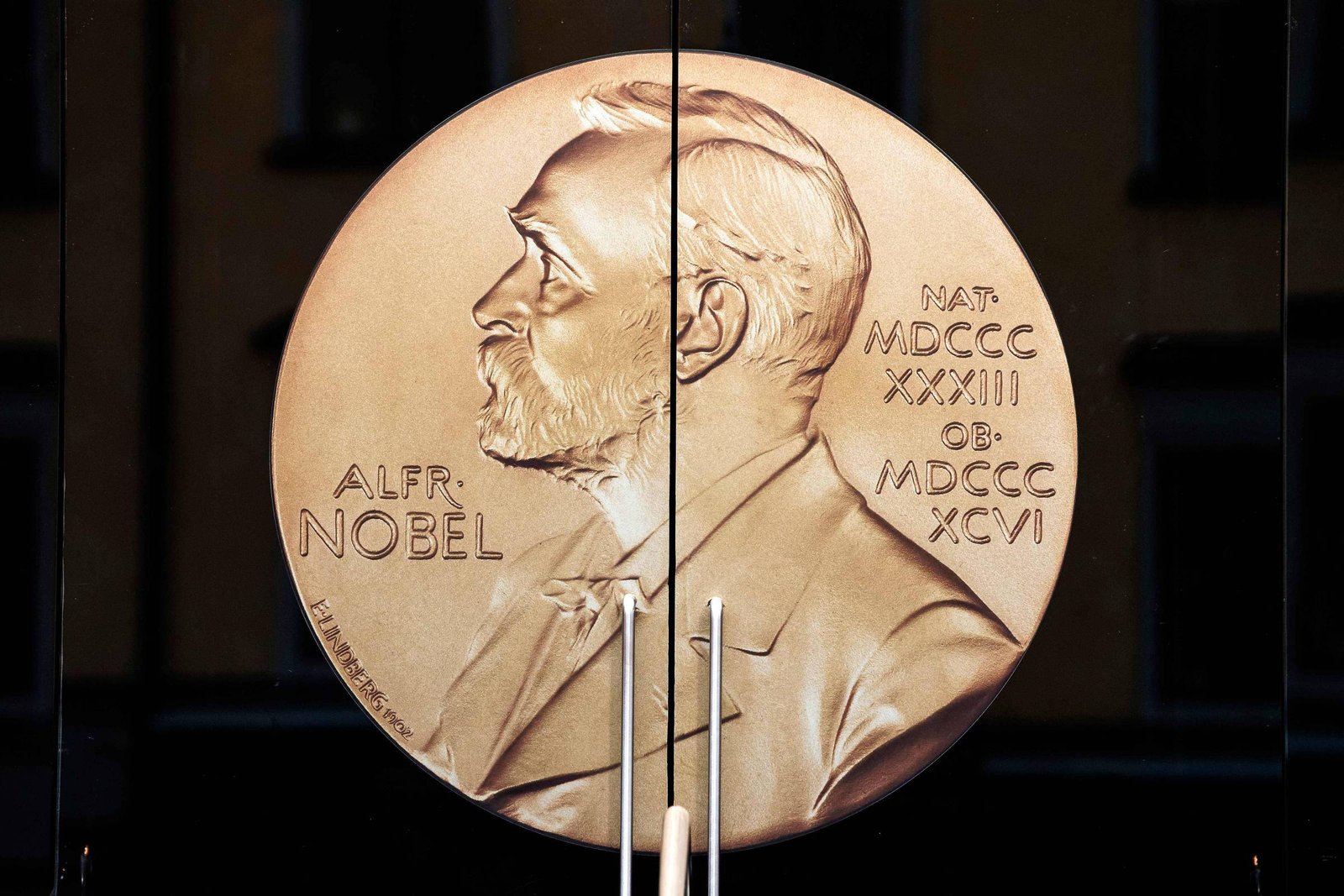 Em quem a IA aposta para o Prêmio Nobel? – 30/09/2026 – Ciência