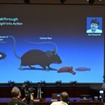 Auditório com palestrante à direita em púlpito, projetando slide azul com ilustração de rato conectado a fibra óptica e peixes, explicando