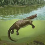 Criatura que lembra ornitorrinco viveu entre dinossauros - 19/10/2026 - Ciência