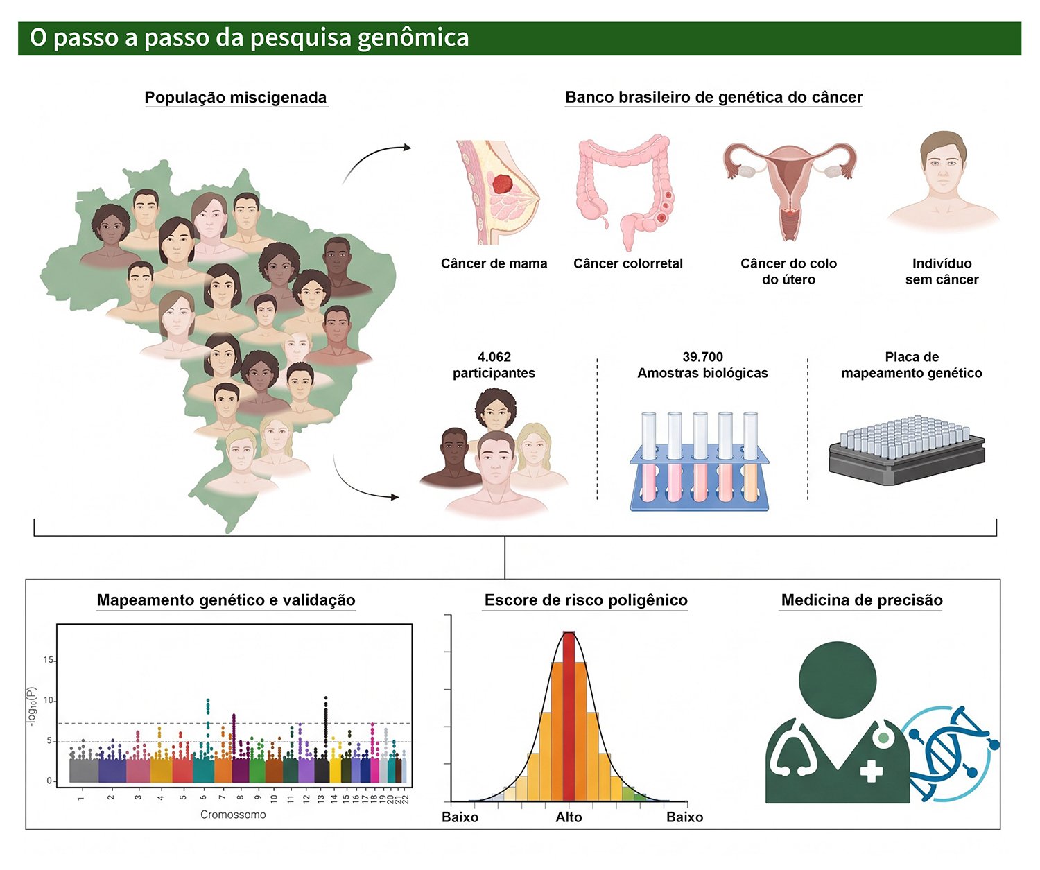 Biorrepositório brasileiro pode ajudar a personalizar a prevenção do câncer no SUS