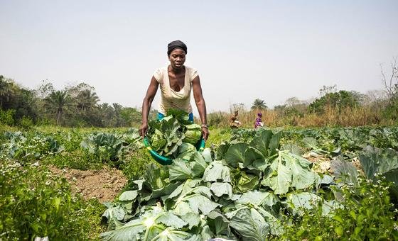 Brasileiras e angolana entre as 100 mulheres que transformam agricultura