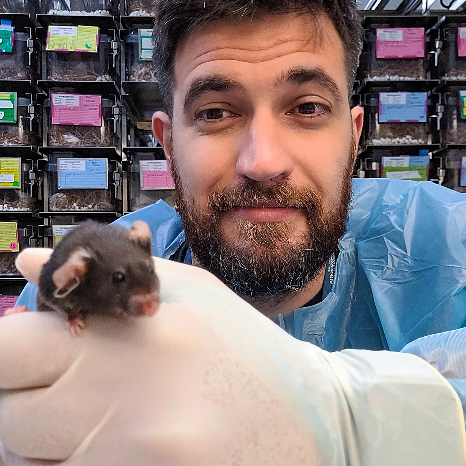 Excesso de treino afeta a regulação química do cérebro, mostra estudo