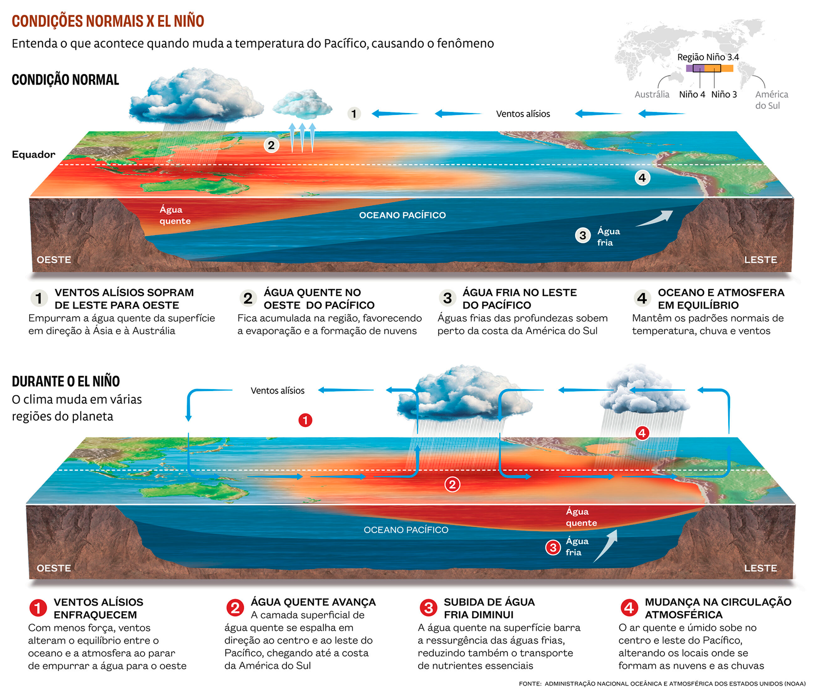 Seca e calor extremos do último El Niño antecipam ‘novo normal’ nas florestas tropicais